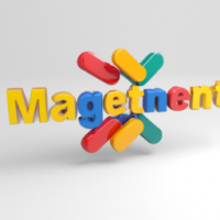 logo of marketing company which name is MarketMagnets.net